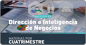 educacion-a-distancia-maestria-en-direccion-e-inteligencia-de-negocios-plan-estudios