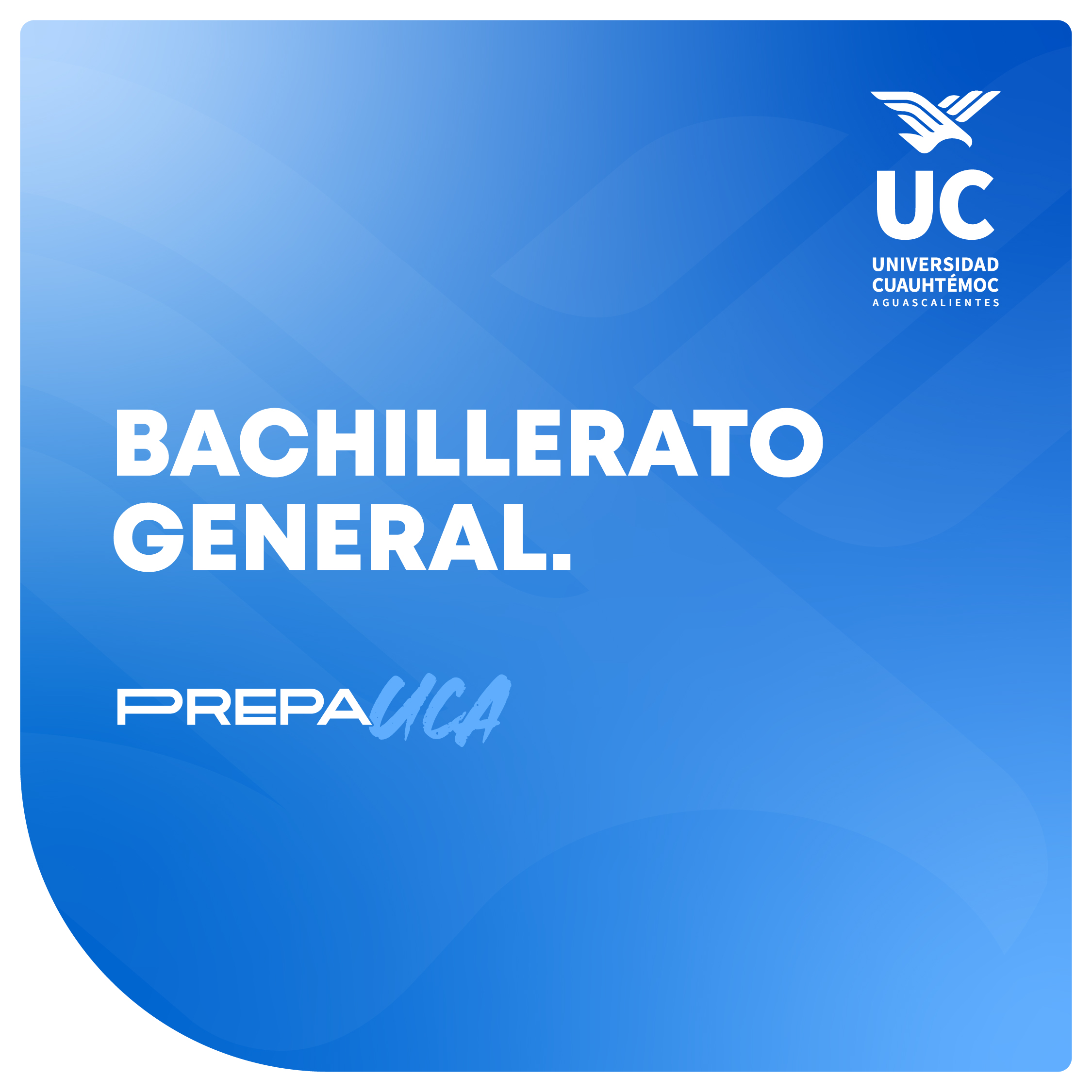miniatura formulario web_bachillerato general