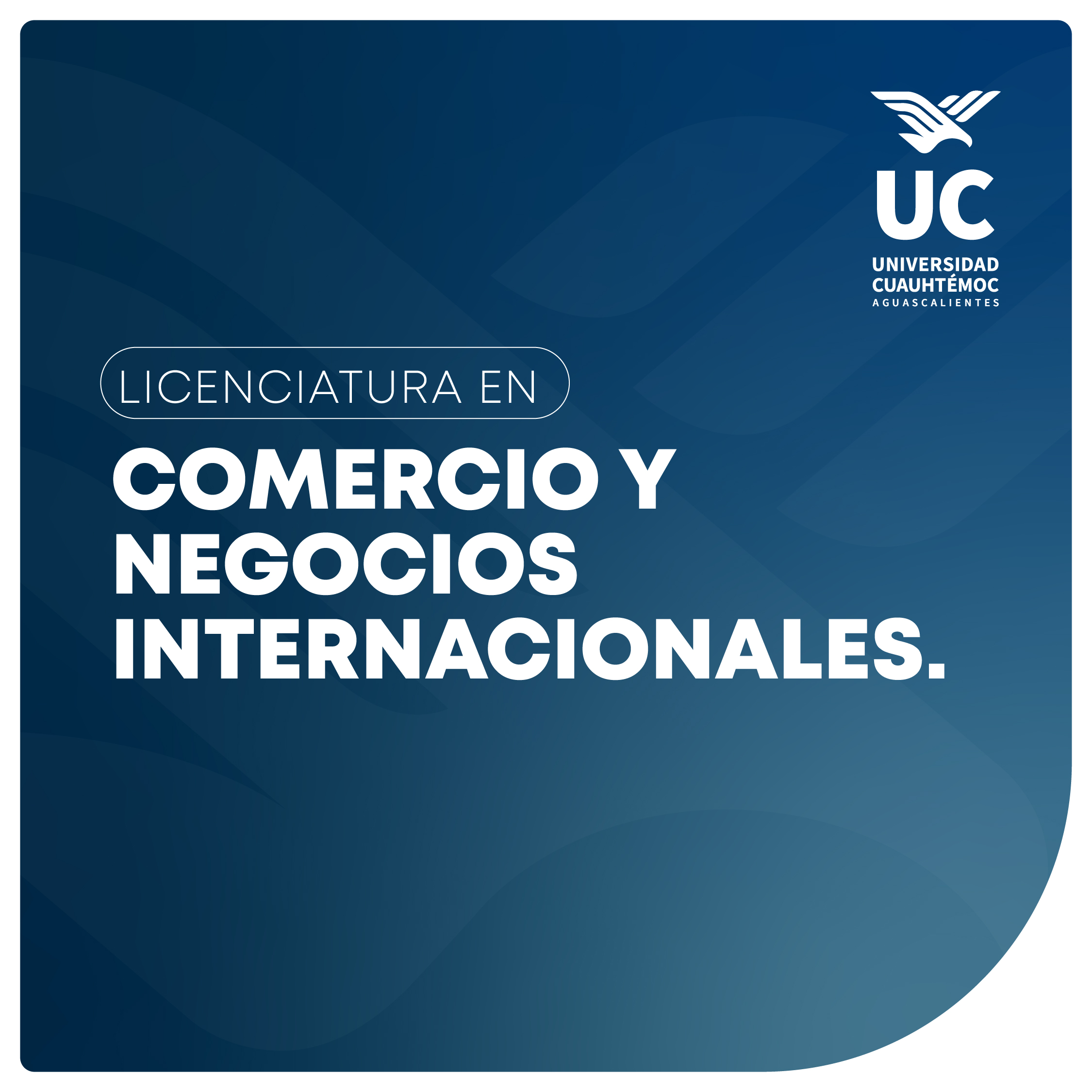 miniatura formulario web_comercio y negocios