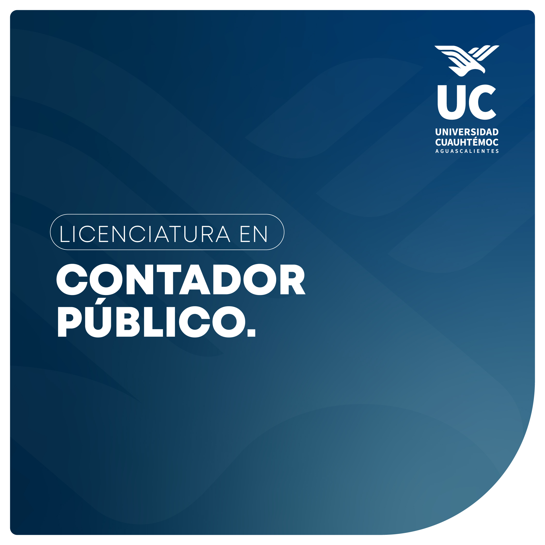 miniatura formulario web_contador publico