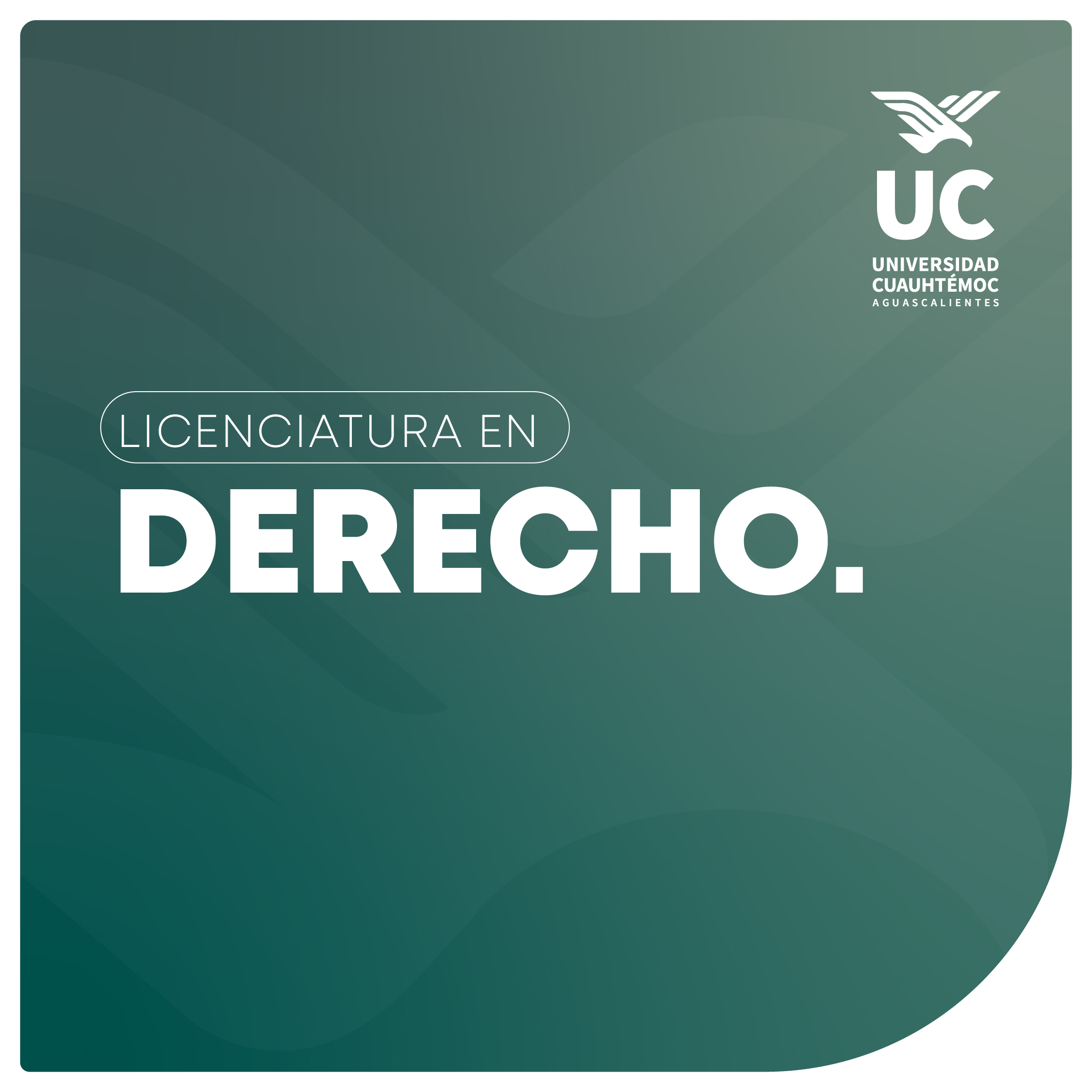 miniatura formulario web_derecho
