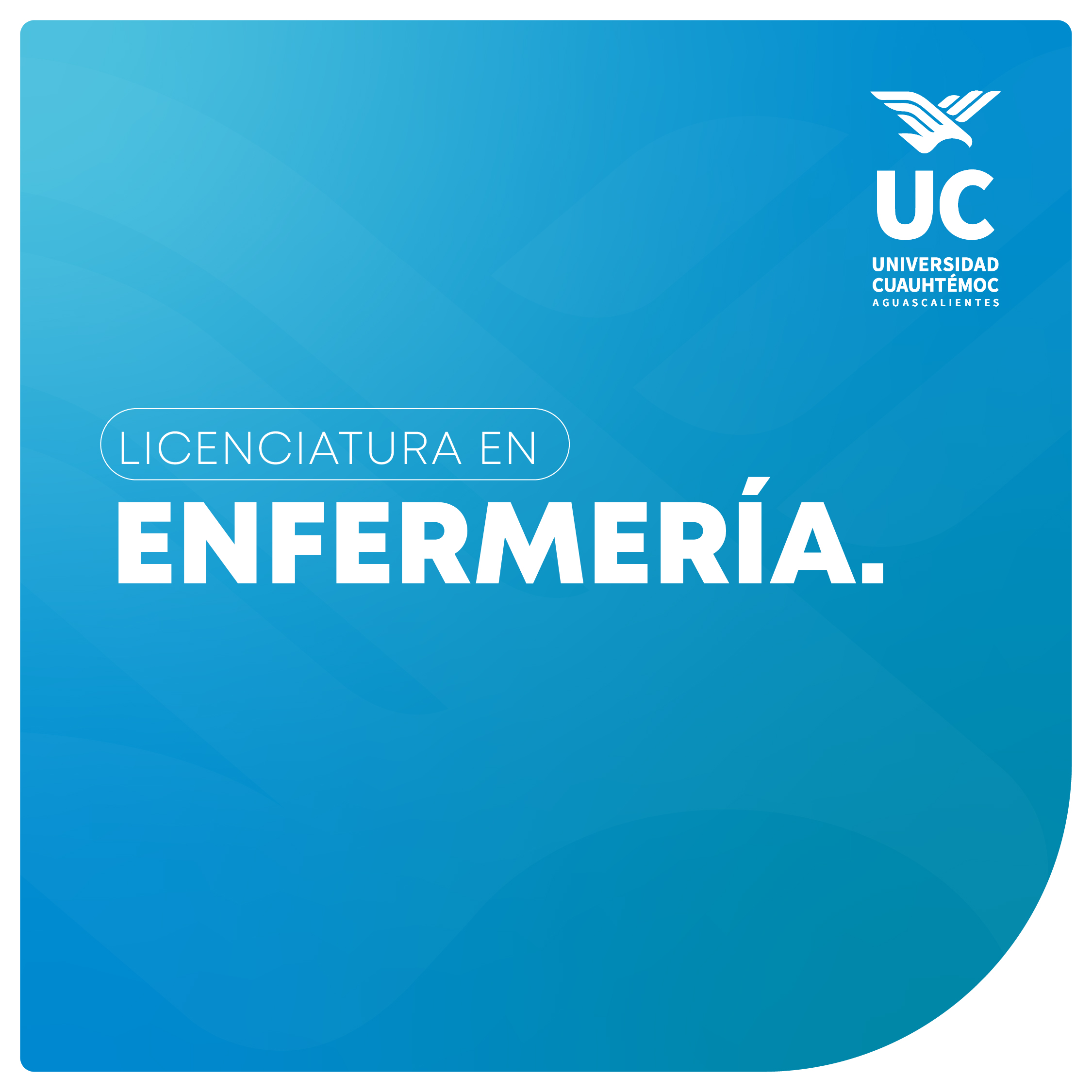 miniatura formulario web_enfermeria