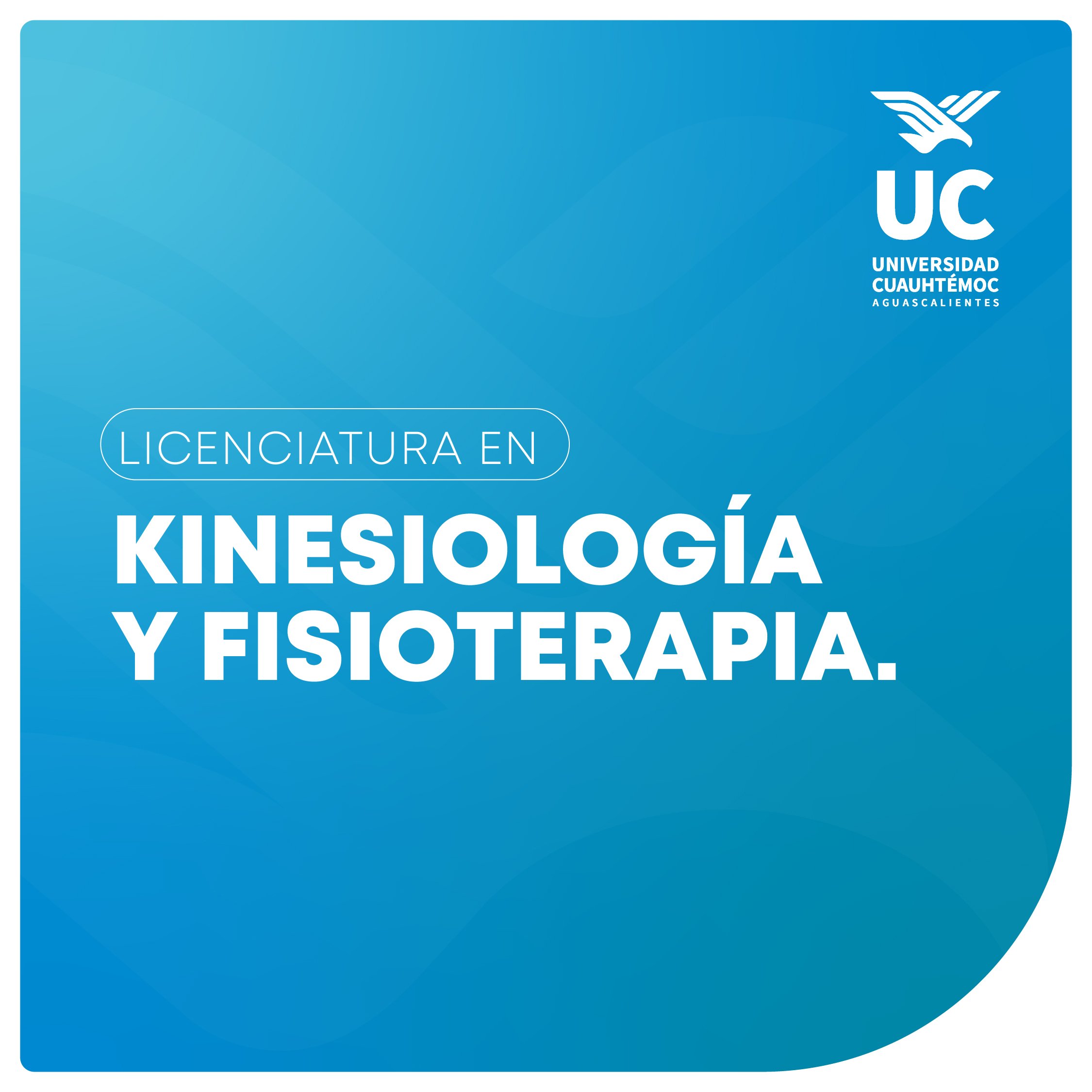 miniatura formulario web_kinesiologia