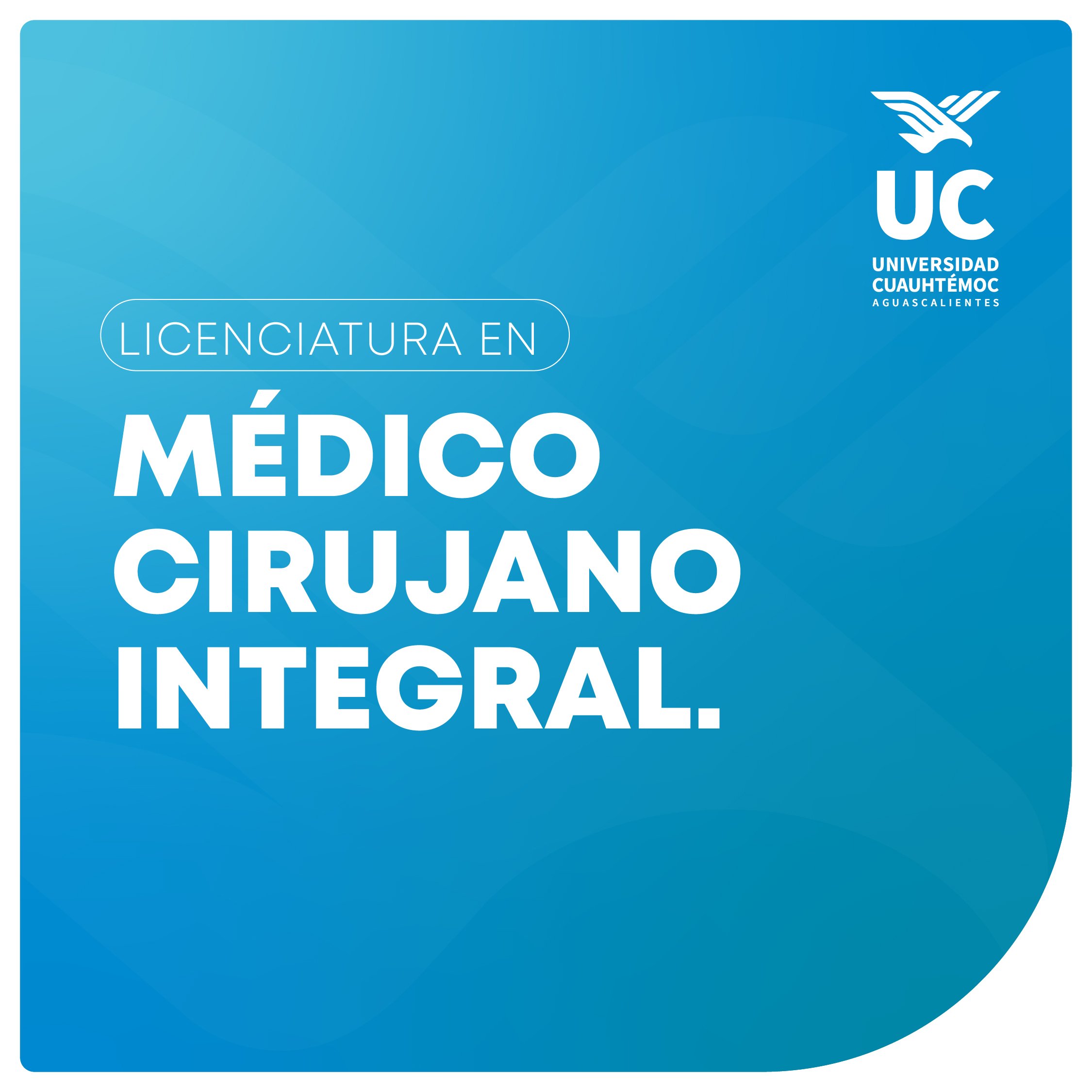 miniatura formulario web_medico cirujano