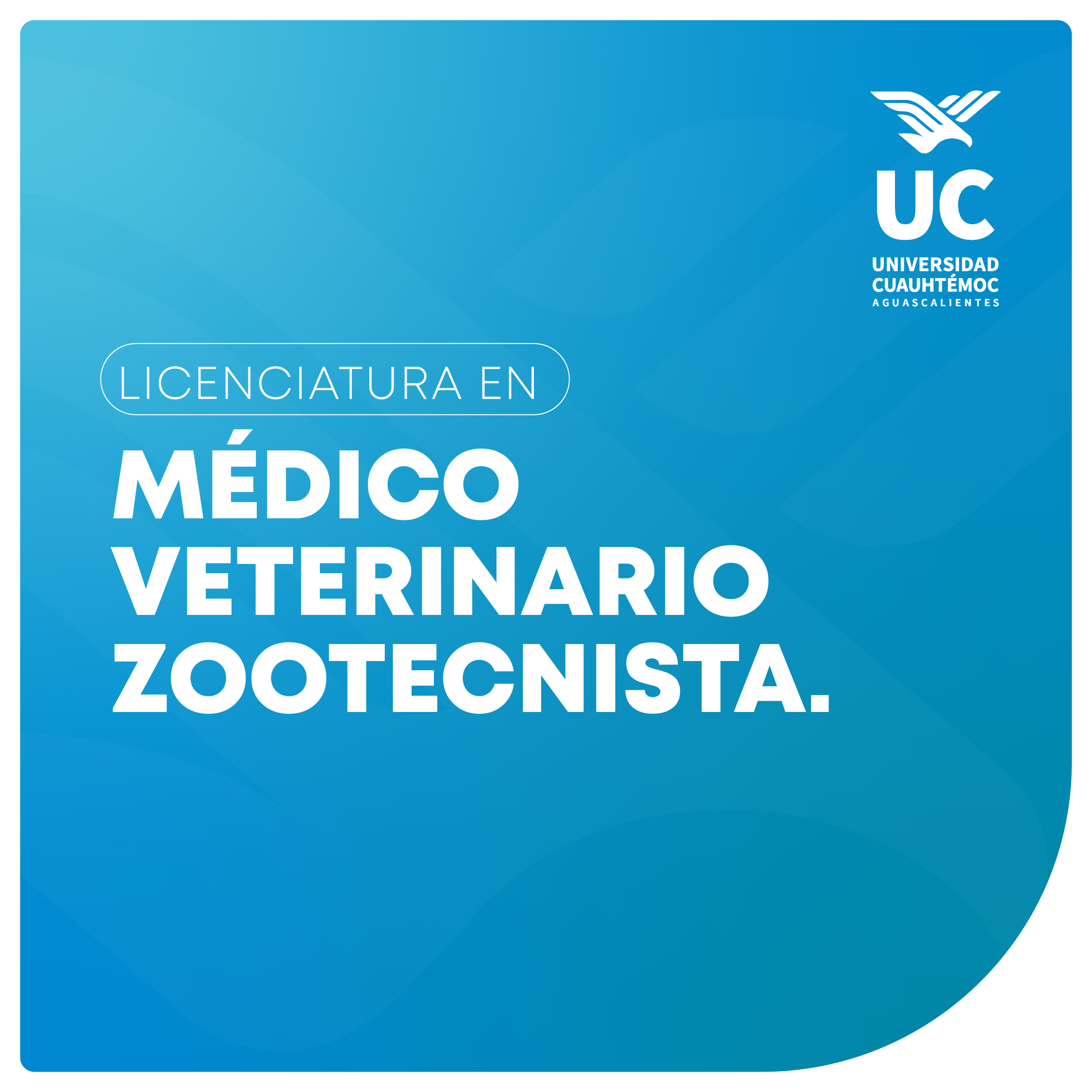 miniatura formulario web_medico veterinario-1