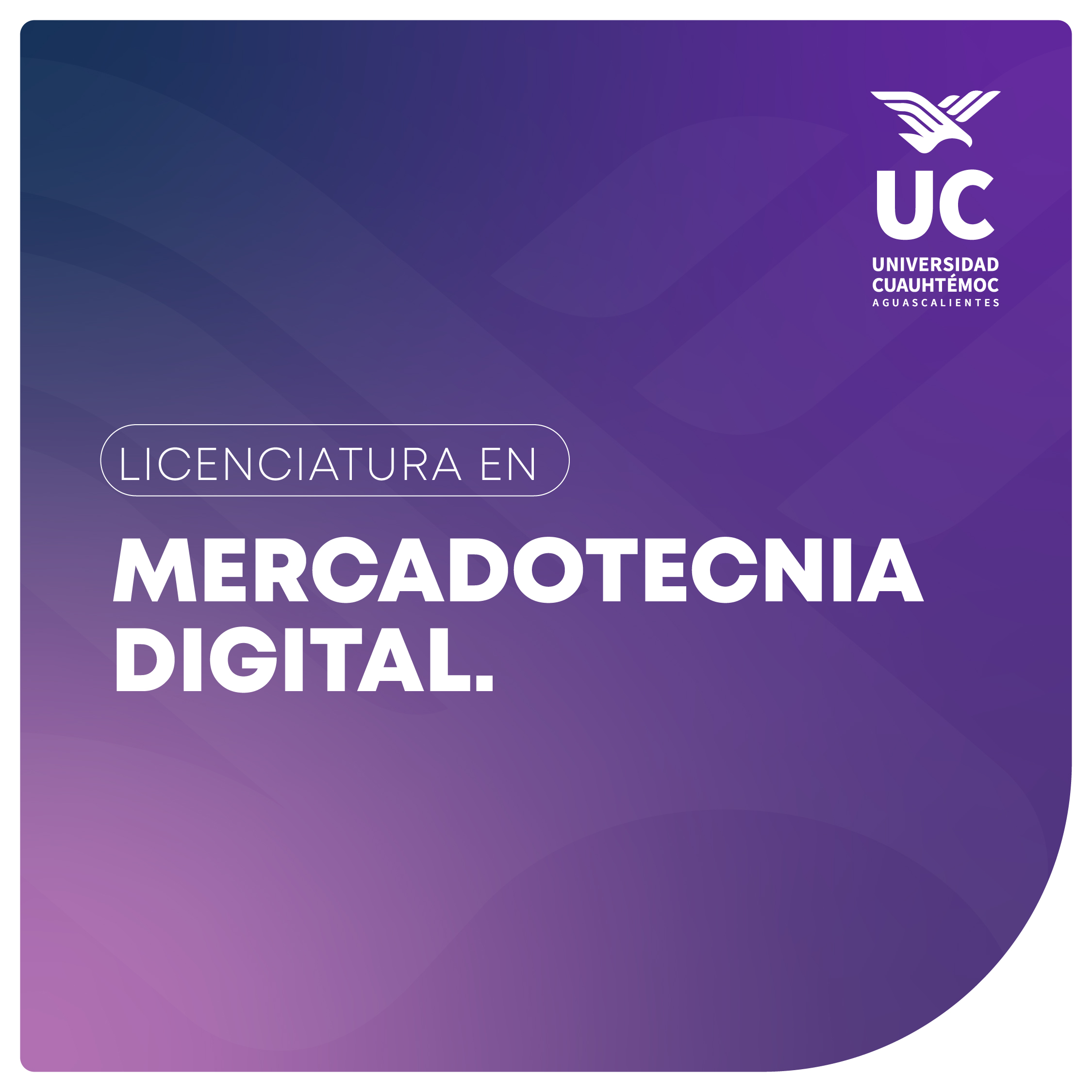 miniatura formulario web_mercadotecnia digital