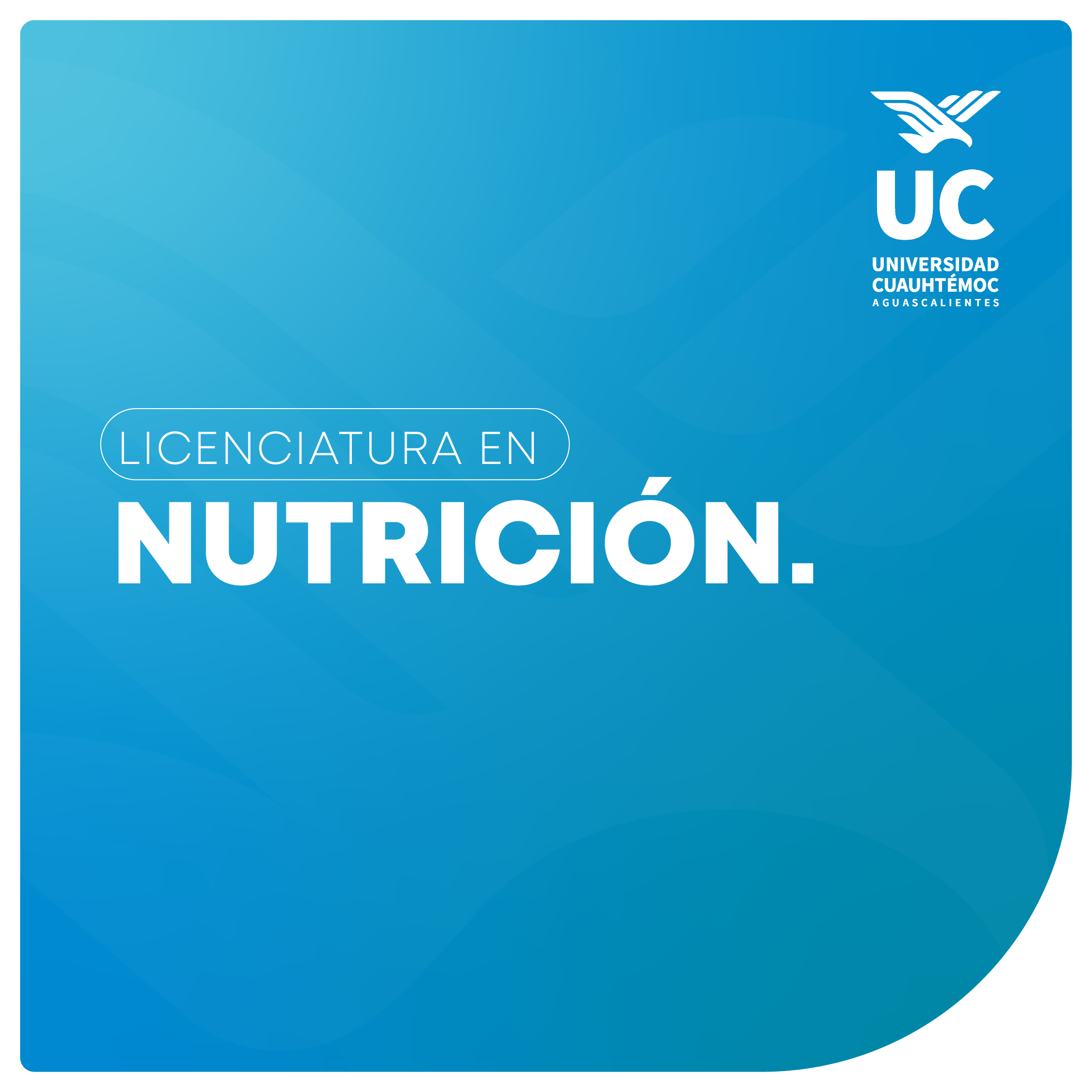 miniatura formulario web_nutricion