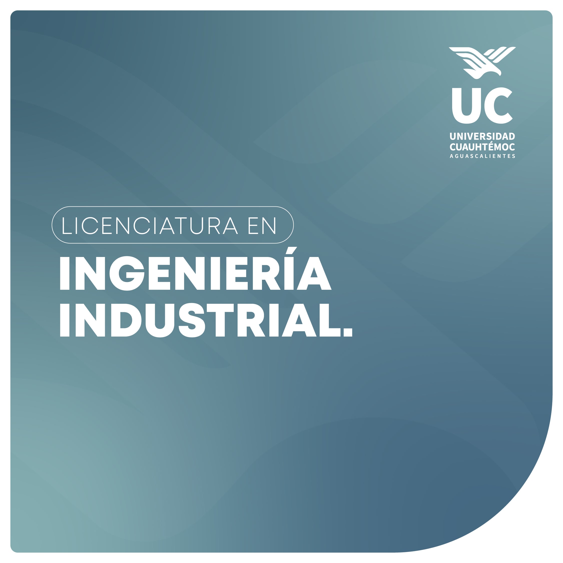 miniaturas formulario web_ingenieria industrial.jpg