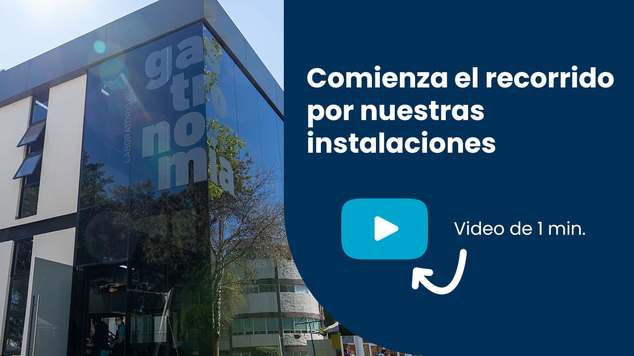 licenciatura-en-gastronomia-y-administracion-de-negocios-thumb-recorrido