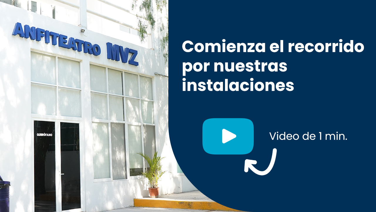 licenciatura-en-medicina-veterinaria-y-zootecnia-thumb-recorrido